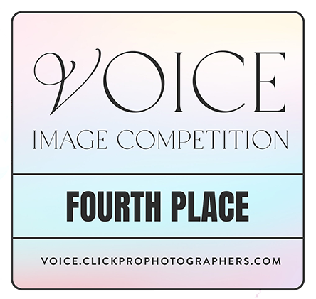 voice-2023-fourthplace